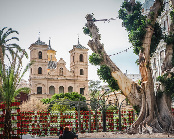 Bezoek de prachtige stad Murcia – 10 tips om te doen